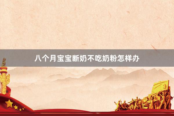 八个月宝宝断奶不吃奶粉怎样办