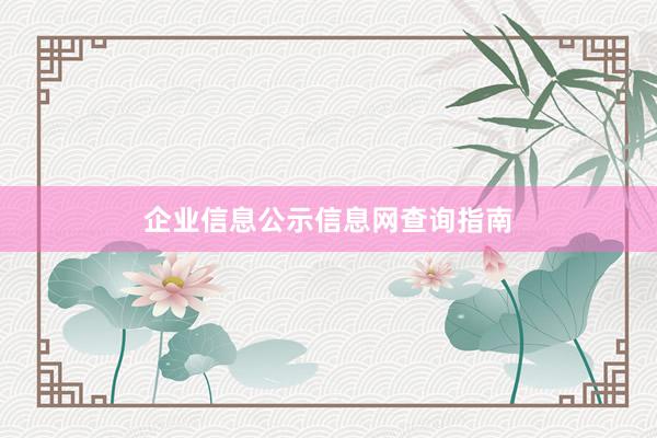 企业信息公示信息网查询指南